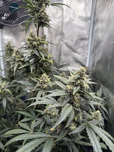 Growreport Bild 26