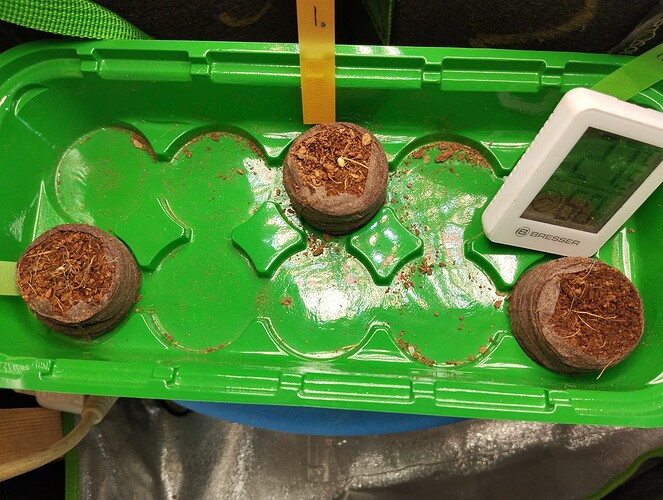 Growreport Bild 20