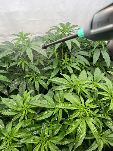 Growreport Bild 29
