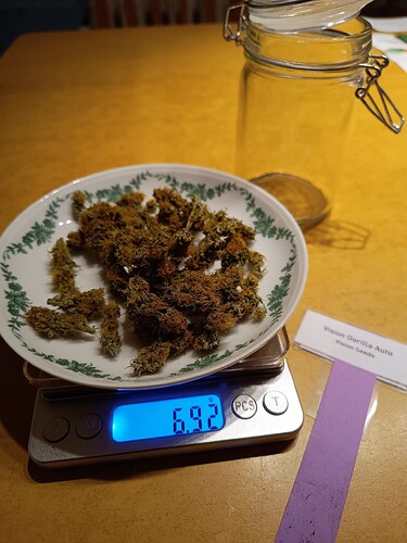 Growreport Bild 18