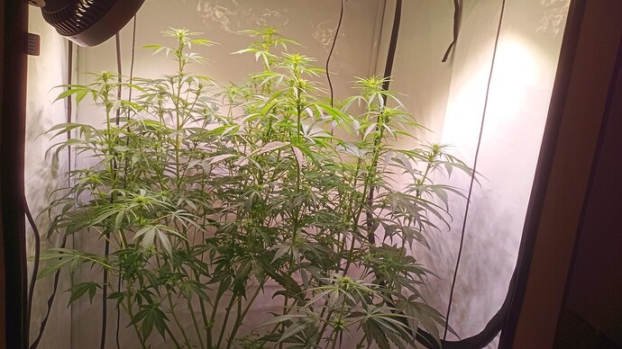 Growreport Bild 9