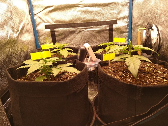Growreport Bild 5