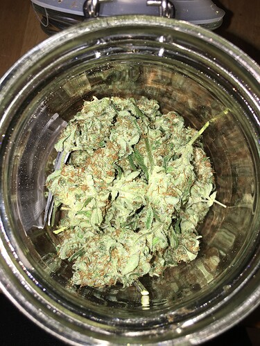 Growreport Bild 15