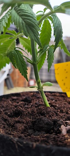 Growreport Bild 12