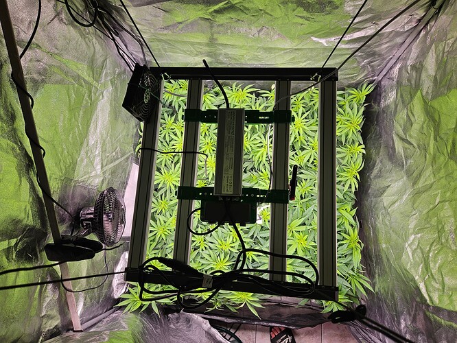 Growreport Bild 7