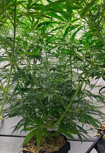 Growreport Bild 18