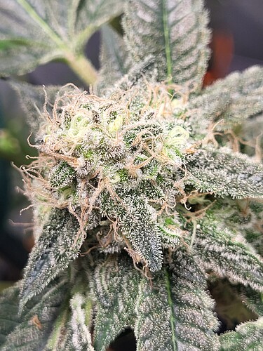 Growreport Bild 11