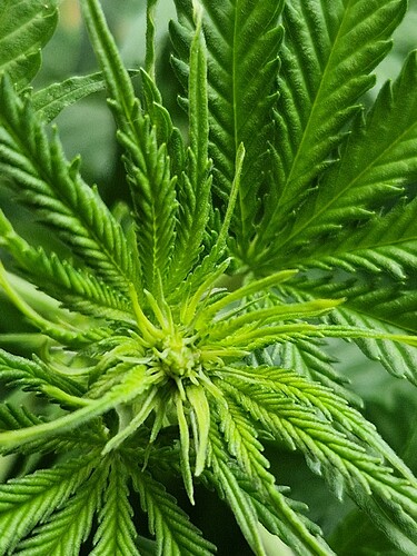 Growreport Bild 6