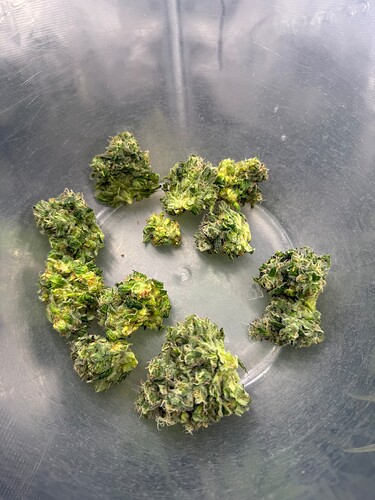 Growreport Bild 19