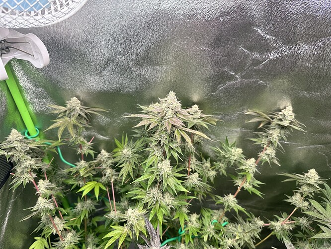 Growreport Bild 11