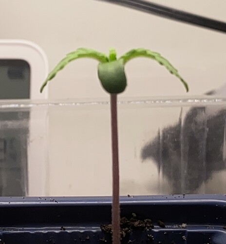 Growreport Bild 8