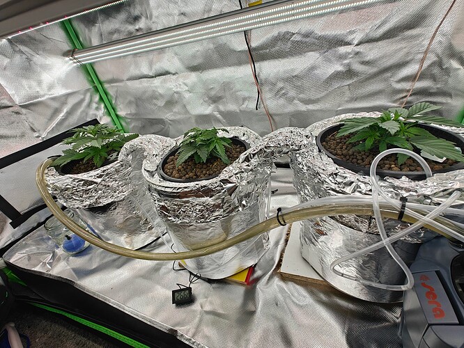 Growreport Bild 10