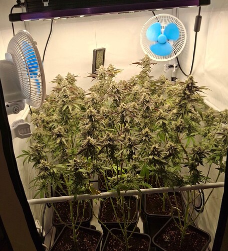 Growreport Bild 14