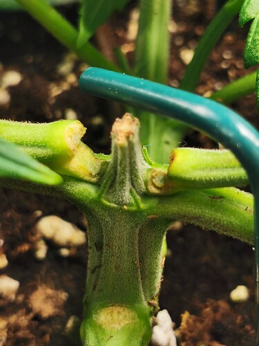 Growreport Bild 8