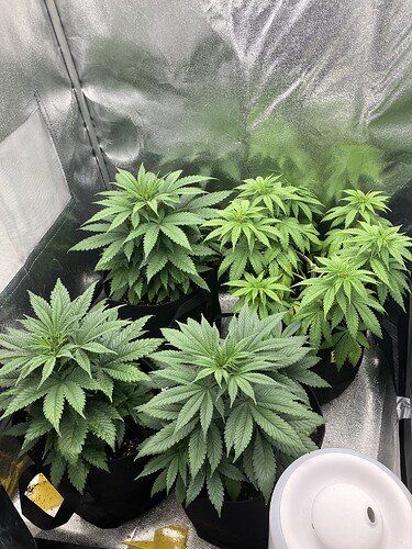 Growreport Bild 1