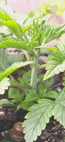 Growreport Bild 10