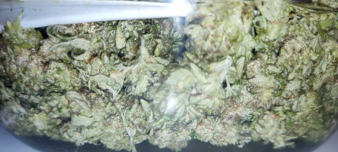 Growreport Bild 62