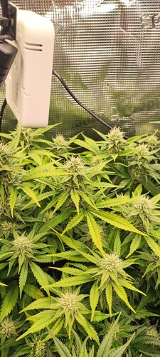 Growreport Bild 26