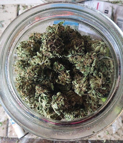 Growreport Bild 10