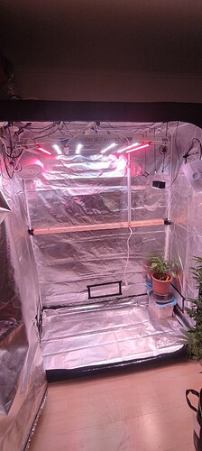 Growreport Bild 7