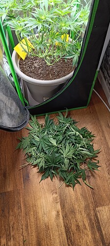 Growreport Bild 10