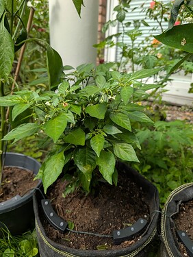 Growreport Bild 14