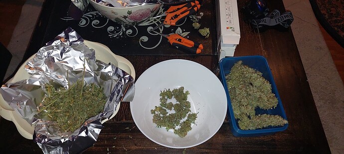 Growreport Bild 13