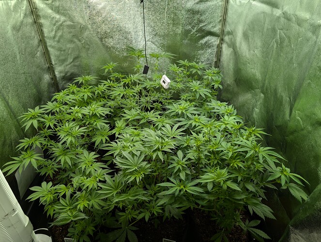 Growreport Bild 7