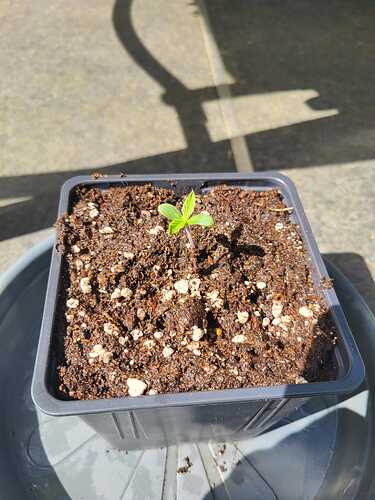 WhatsApp Image 2024-07-24 at 17.04.31 (1)