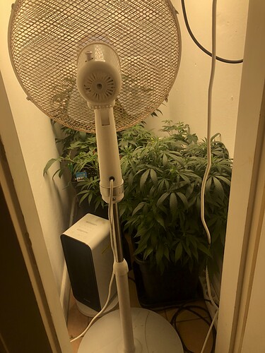 Growreport Bild 9