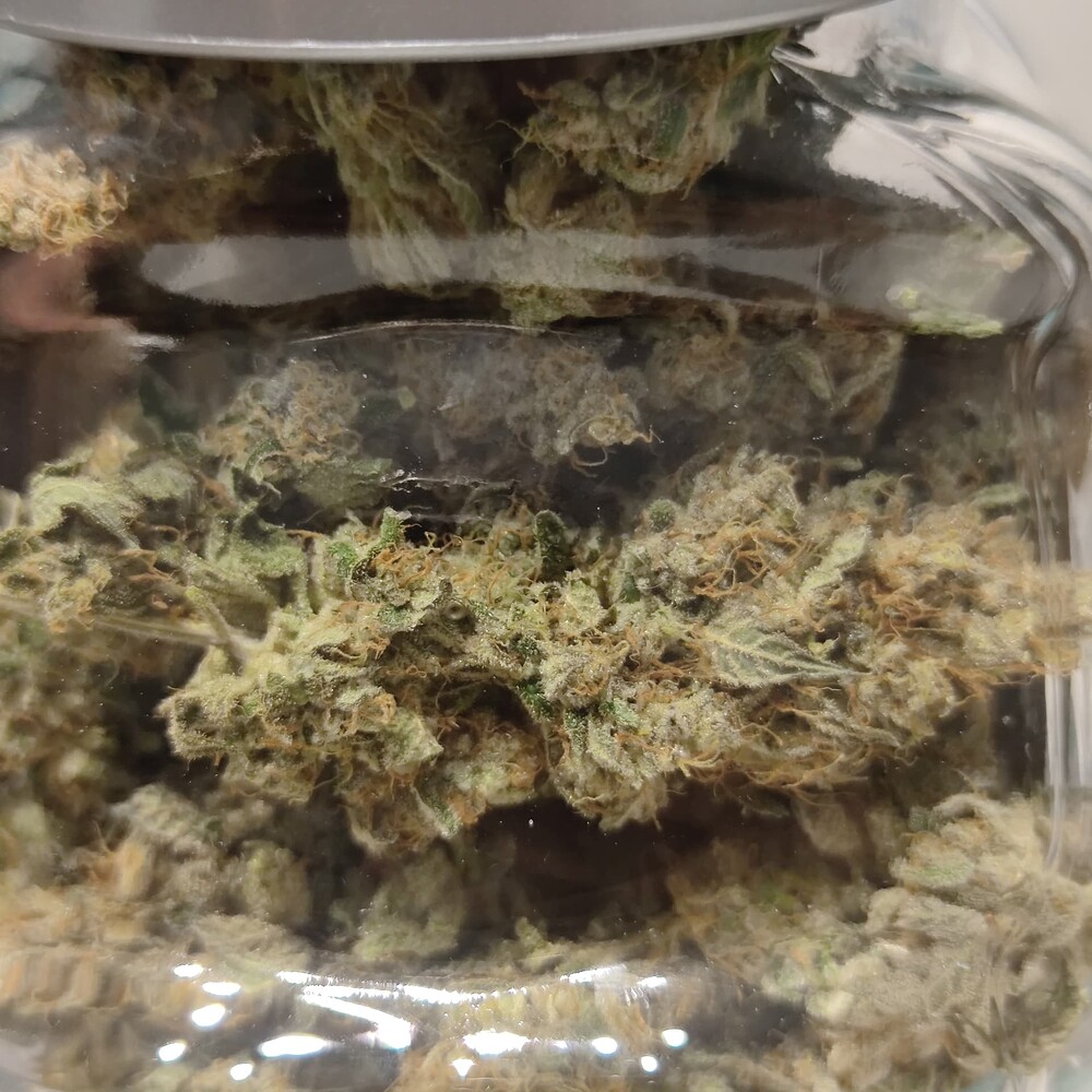 1. Grow,Bruce Banner 3 Fem. Jeder ist willkommen, Tips und Unterstützung weiss ich zu schätzen