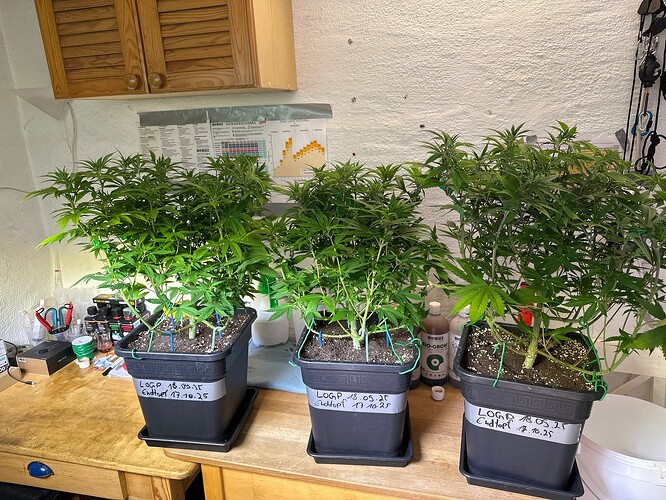 Growreport Bild 23