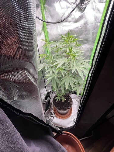 Growreport Bild 5