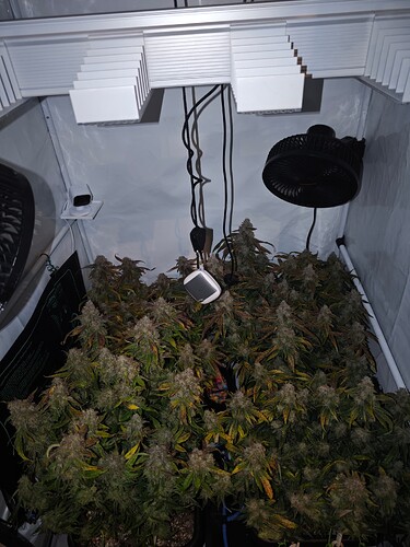 MVIMG_20251128_150000