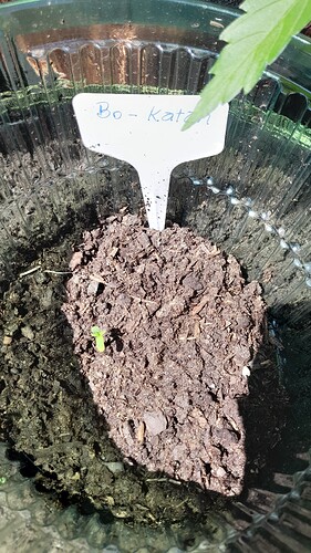 Growreport Bild 15