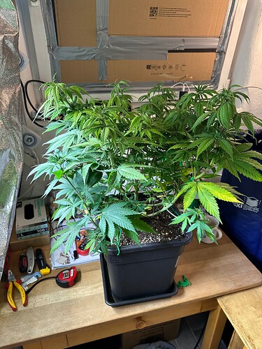 Growreport Bild 48