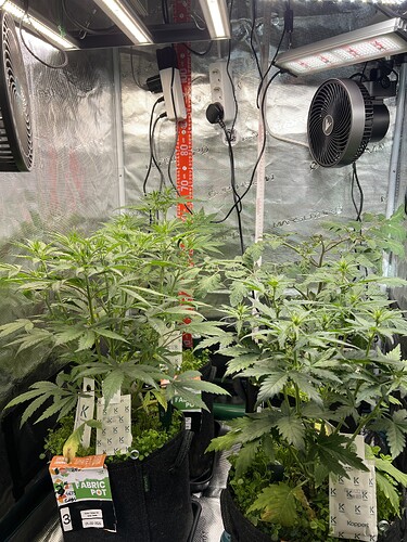 Growreport Bild 3
