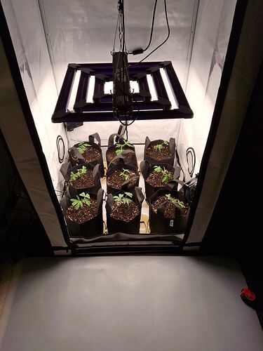 Growreport Bild 8