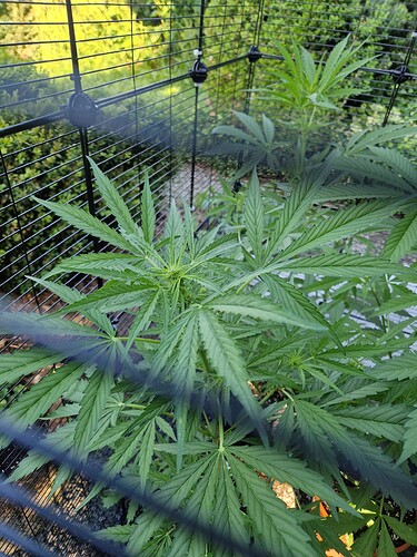 Growreport Bild 7