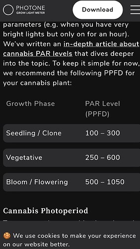 Growreport Bild 35