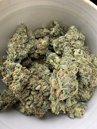 Growreport Bild 26