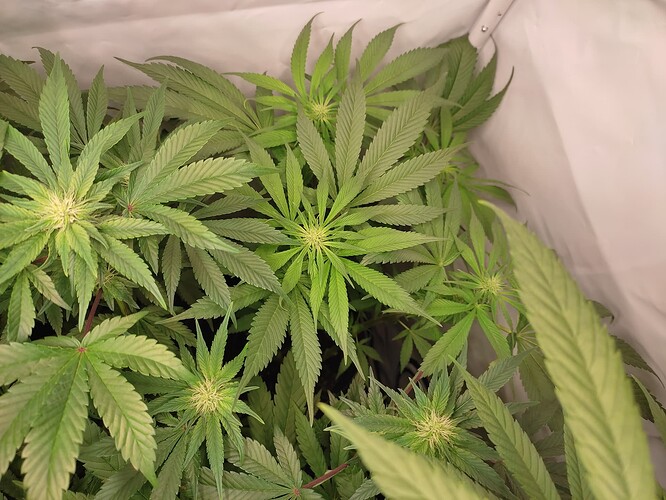 Growreport Bild 11