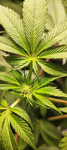 Growreport Bild 3