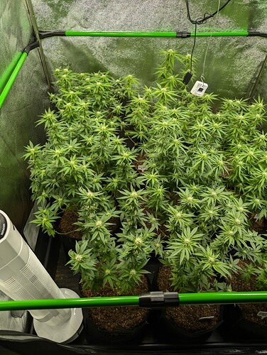 Growreport Bild 12