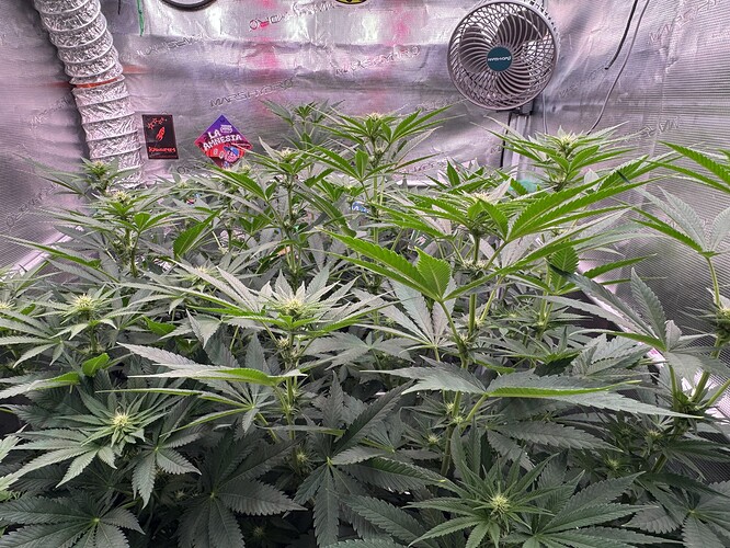 Growreport Bild 27
