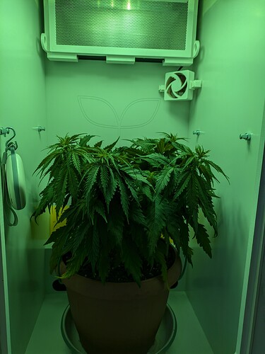 Growreport Bild 5