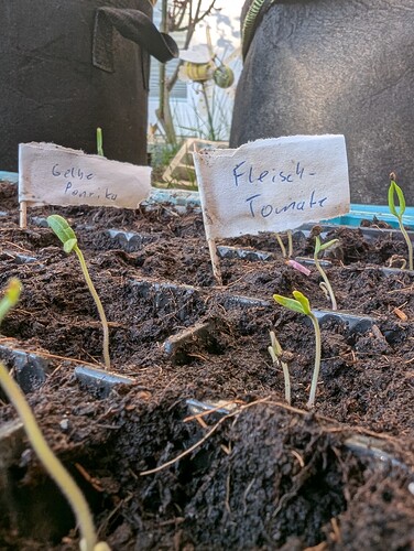 PXL_20250403_165749397