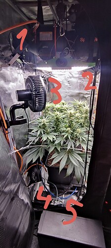 IMG_20250109_144604~2