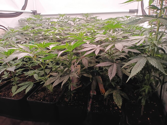 Growreport Bild 11