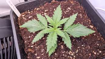 WhatsApp Image 2024-05-07 at 16.06.27